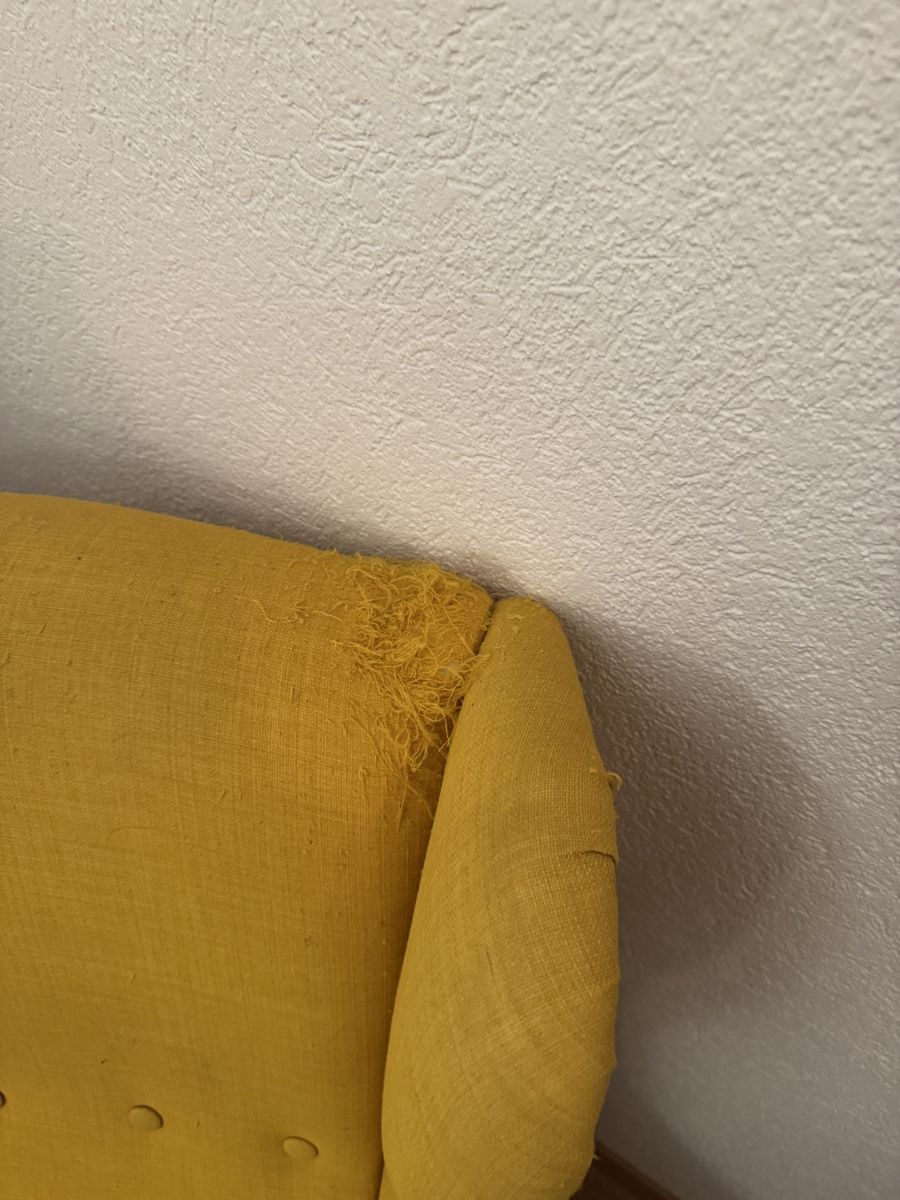 Foto & Immagini: Gelber Ikea Sessel – Usato da Studen BE venduto da nou_2tgw 5