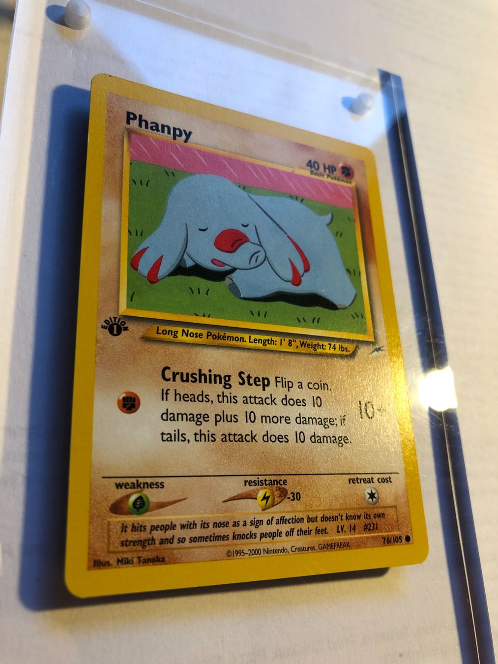 Carte collezionabili: Phanpy 1st Neo Destiny - NM - ab 1.- – Usato da Giubiasco venduto da dan_pr8b 1