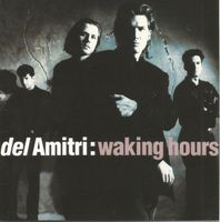 Del Amitri: Waking hours CD