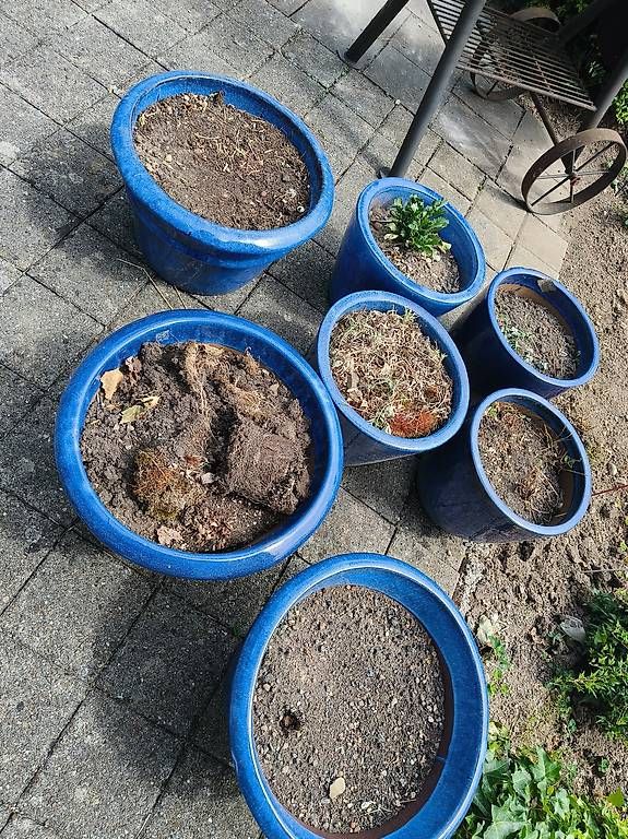 Vasi per fiori: Blumentöpfe blau – Usato da Hohenrain venduto da mir_q5qs
