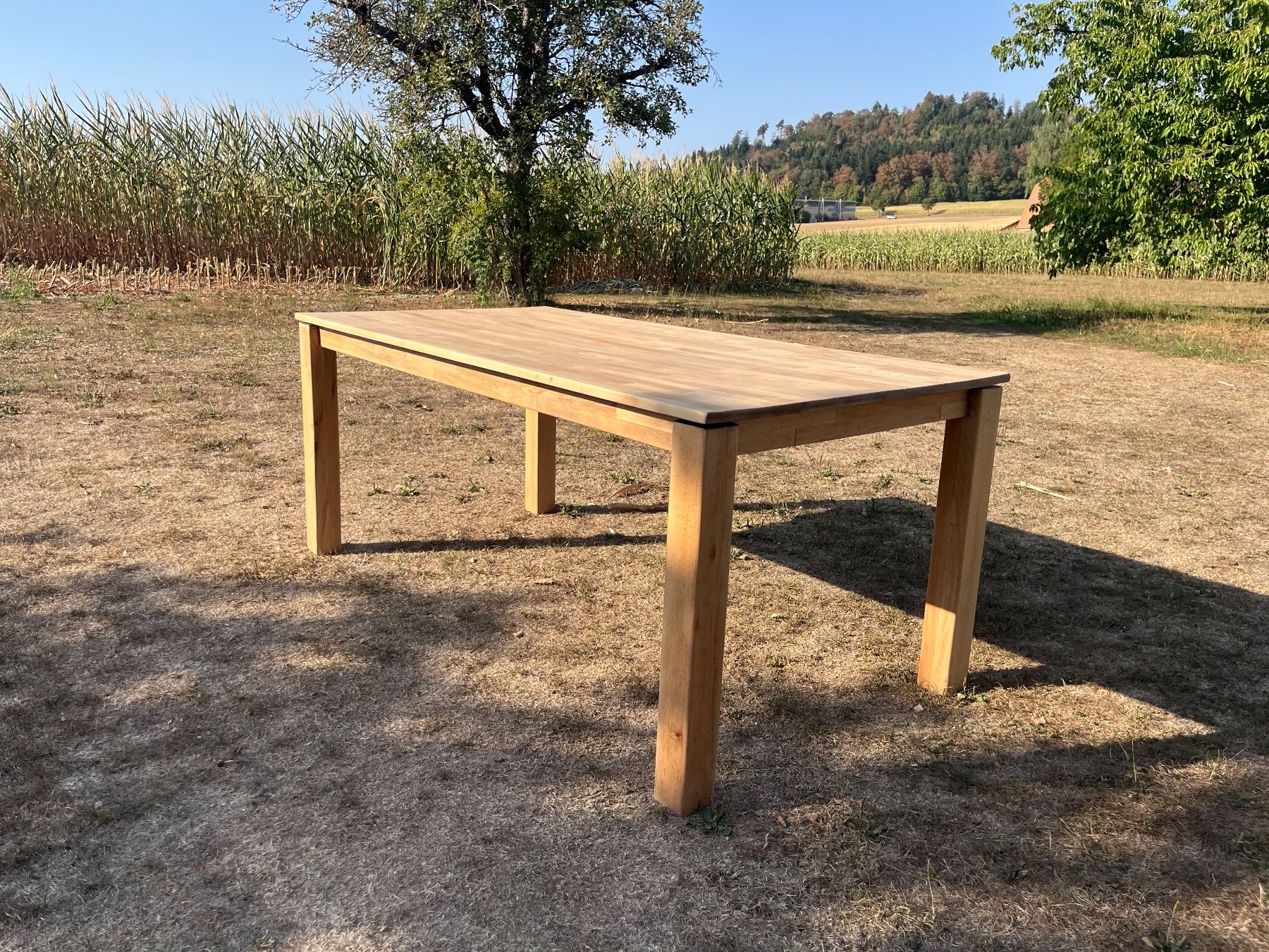 Tables: Tisch Massiv – D'occasion à Allmendingen b. BE par juair 3