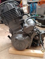Yamaha XTZ 660 Tenere Motor