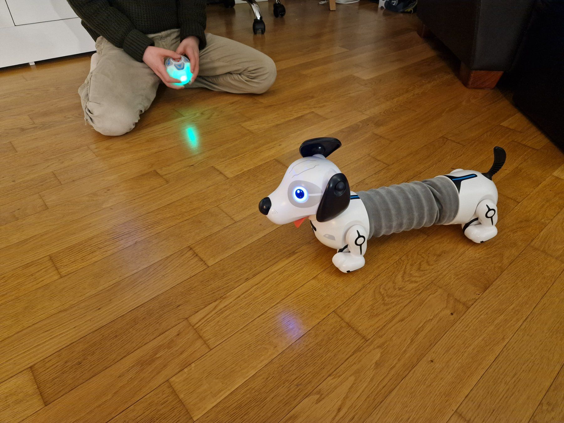 Giocattoli: Robo-Hund / Dackel ferngesteuert – Usato da Hünenberg venduto da fam_evjo1 4