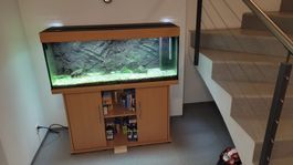Aquarium Juwel Rio 240