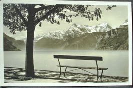 BRUNNEN Blick vom Quai auf Urirotstock