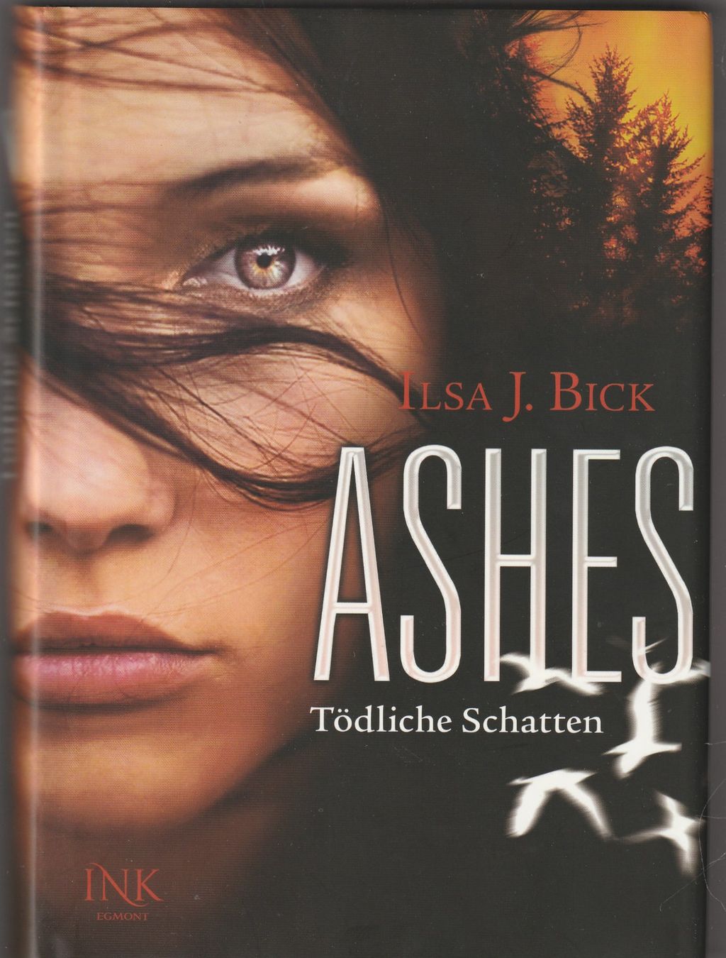 Libri: lsa J. Bick - Tödliche Schatten - Ashes 2 - gebunden – Nuovo (secondo la descrizione) da Luzern venduto da Baumhuepfer01