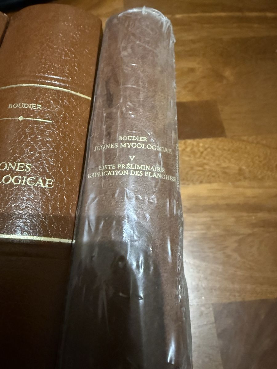 Libri: Iconographie des Champignons Boudier 5 Vol. – Nuovo (secondo la descrizione) da Montreux venduto da kingfisherbeach 3