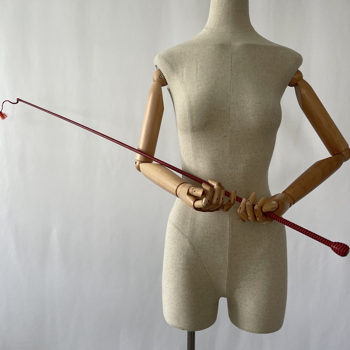 Altro in Accessori per animali: HERMES Whip – Nuovo e nell'imballaggio originale da Emmen venduto da Avviivva_Com2023 1