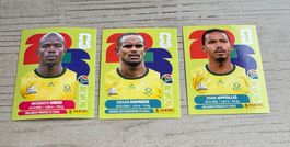 Panini FIFA World Cup WM 2026 - SÜD AFRIKA RSA 10 - 18 - 20
