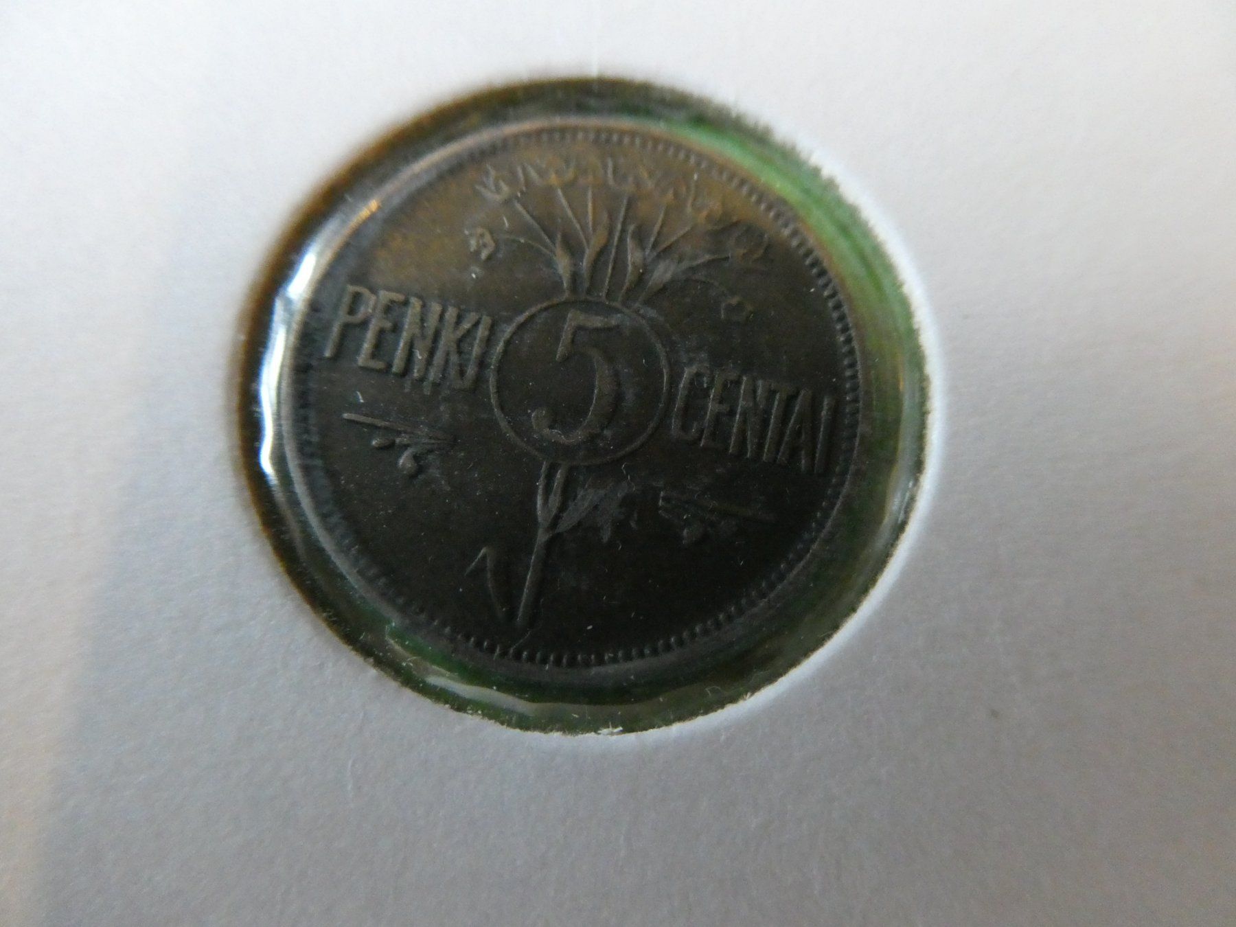 Tutti le monete: Litauen 1925, 5 Centai – Usato da Hinterforst venduto da Rohusri 1