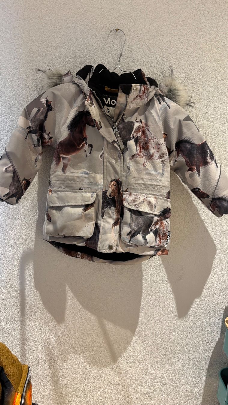Molo Vestes & Manteaux: Molo Winterjacke – D'occasion à Uitikon Waldegg par Thefateofophelia