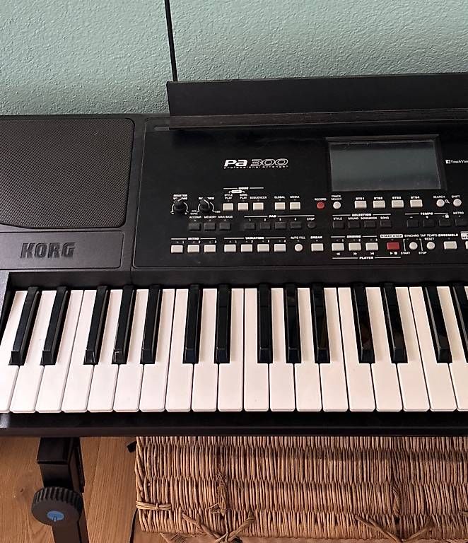 Korg Strumenti musicali: Korg PA 300 Keyboard – Usato da Oberaach venduto da sinsemilla13