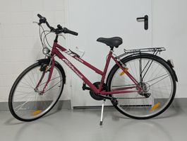 Rotes Citybike