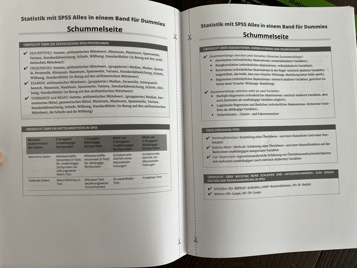 Libri: Statistik mit Excel & SPSS für Dummies - 2 Bücher – Nuovo (secondo la descrizione) da Meilen venduto da DanaC 3