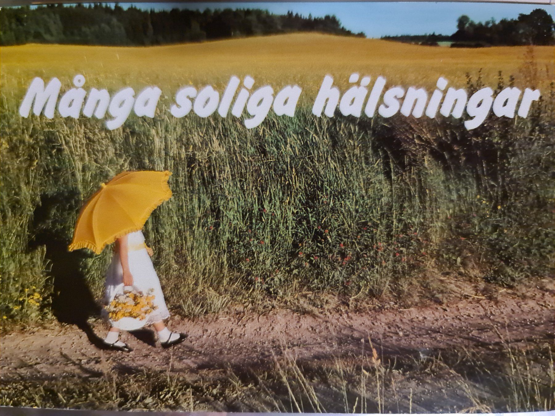 Ansichtskarten: Schwedische Postkarte Sommer Mädchen Feld – Gebraucht aus Dintikon von Vexi