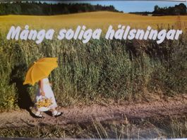 Schwedische Postkarte Sommer Mädchen Feld