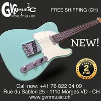 Guitar Prodipe Stratocaster and Telecaster