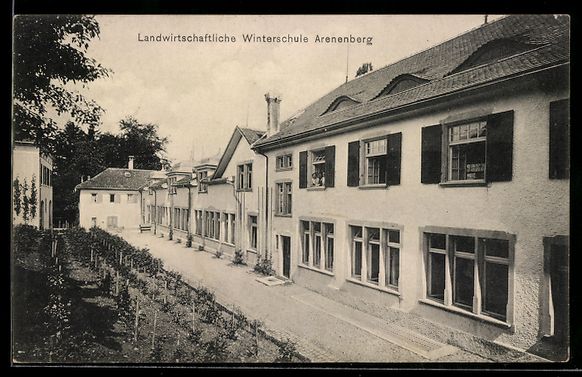 Cartes postales: Arenenberg, Landwirtschaftliche Wintersc – D'occasion à Berlin par bartko-reher