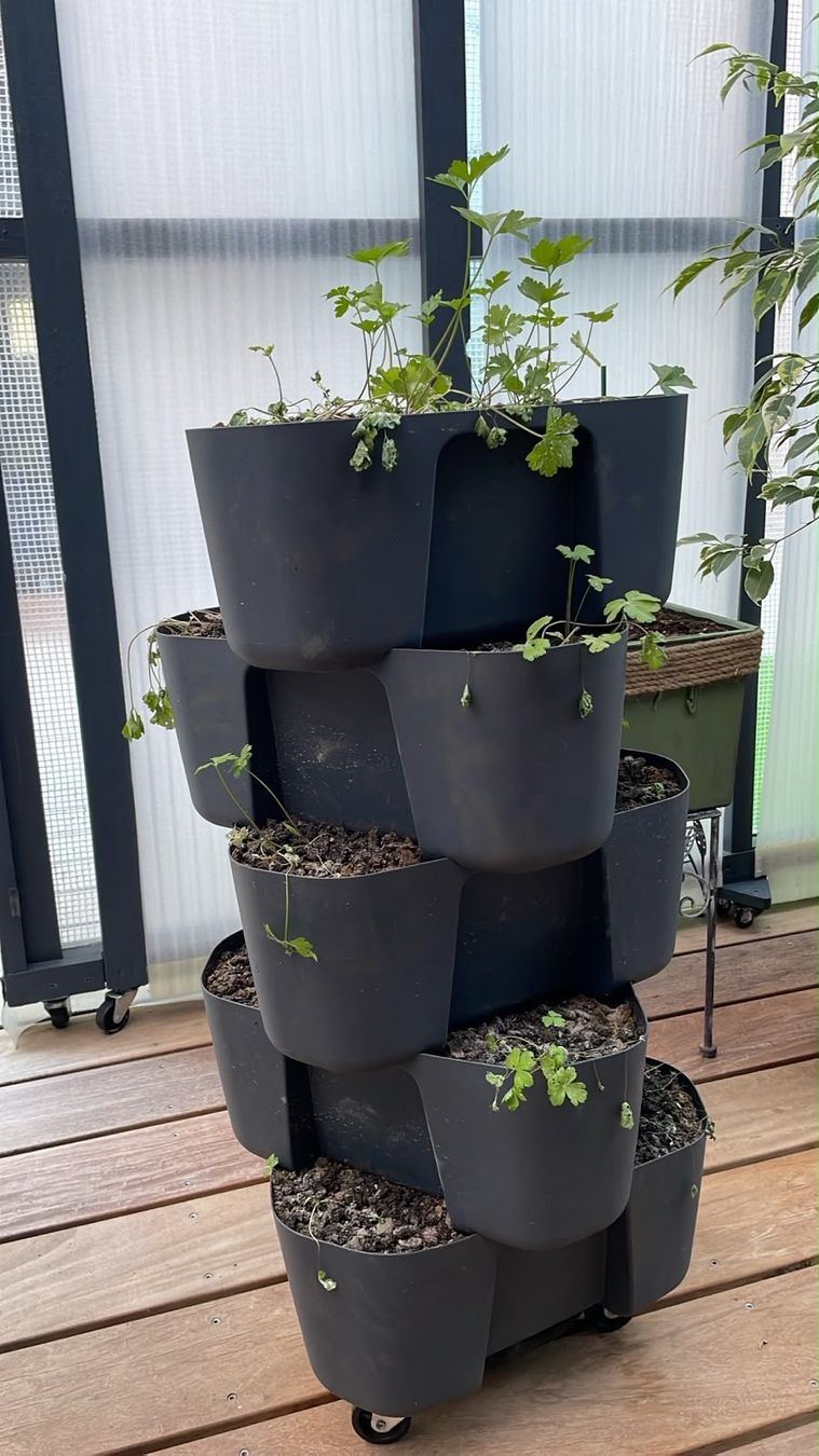 Box contenitori: Kräuter-Hochbeet vertikal / Pflanzturm – Usato da Flawil venduto da Pirar