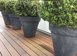 Blumentopf Pflanzentopf Pflanzengefäss Pflanzen Blumen Topf