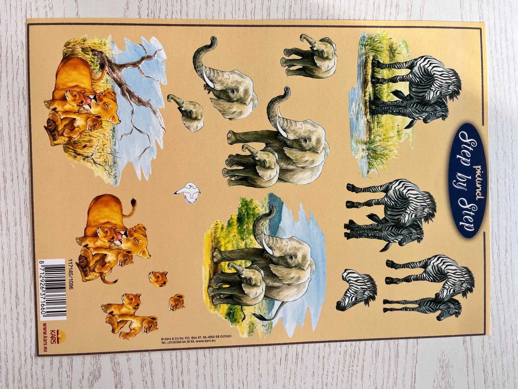 Kit bricolage: 1 Set Kartenbögen mit 10 Tier Designs – Nuovo e nell'imballaggio originale da Büsserach venduto da bor_s88m 6