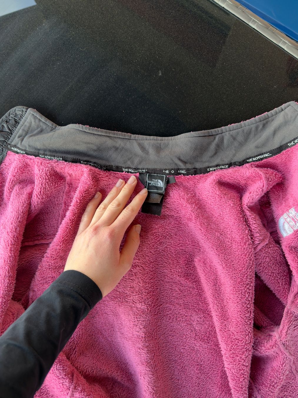 North Face Giacche: North Face Fleece Jacke – Usato da Fislisbach venduto da Vanessax 2