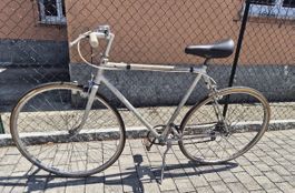 Bicicletta olmo uomo