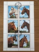 Sharjah 1972 – Pferde Motivsatz – 6 Marken im Bogen
