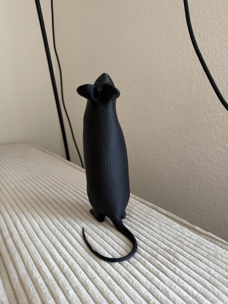 Lampes: 3D printed Black Mouse Lamp with Bulb – D'occasion à Regensdorf par __Claudia_ 4