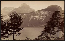 Fotografie Brunnen, Urnersee mit Felswan