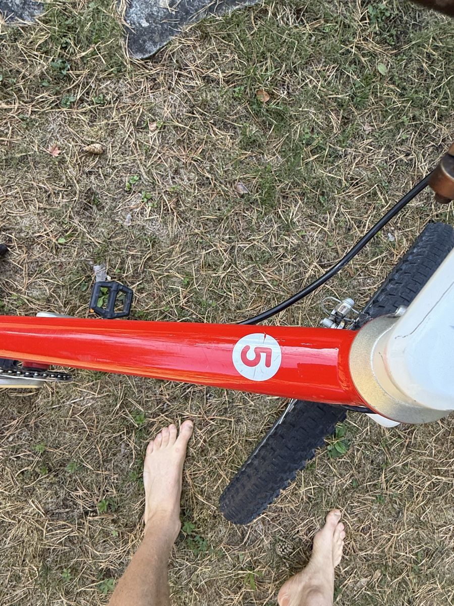 Woom Biciclette: Kindervelo Woom 5 – Usato da Adliswil venduto da linux_66 1