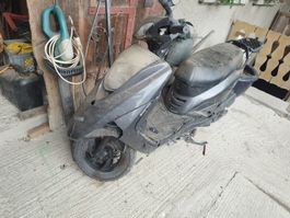 Roller 