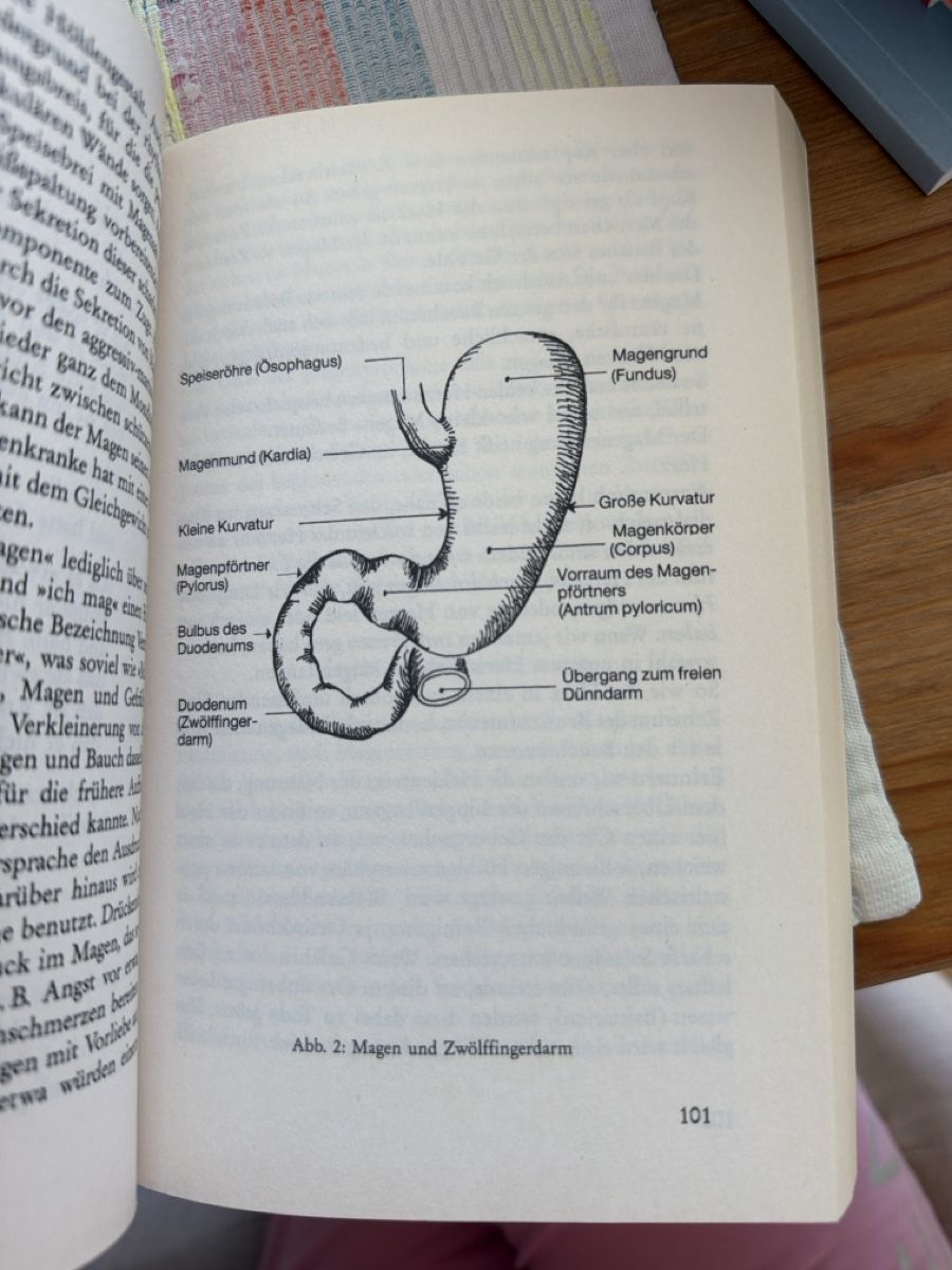 Libri: Verdauungsprobleme – Usato da zürich venduto da may_yj9f 9