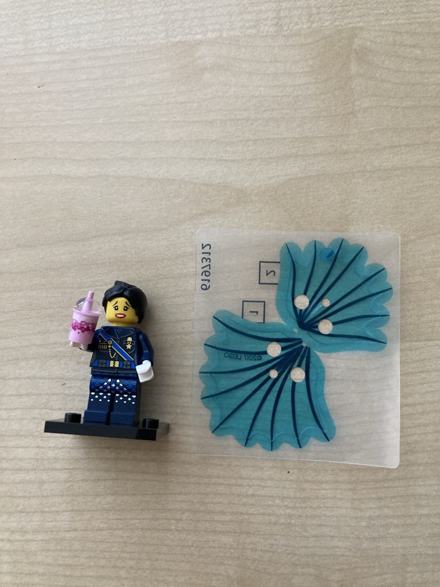 Lego Figuren: LEGO Ninjago Minifiguren 7 Stück – Neu (gemäss Beschreibung) aus Schwarzenburg von Schrepfer 1