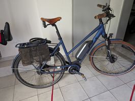 eBike TDS steps delight lady 52cm blau