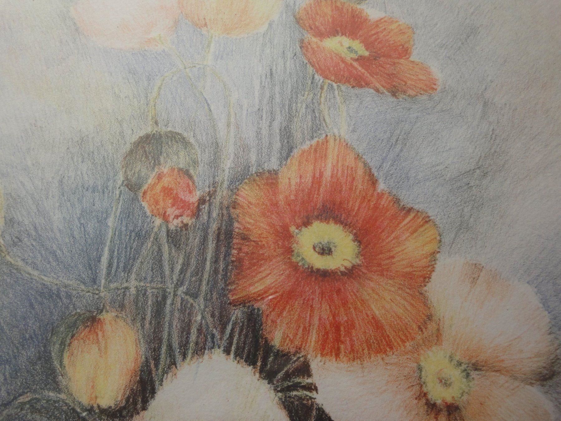 Grafica & Litografie: Glauser Lotti, 1953 - Mohnblumen - Steinlithographie – Nuovo (secondo la descrizione) da Biel/Bienne venduto da 07helios032 5