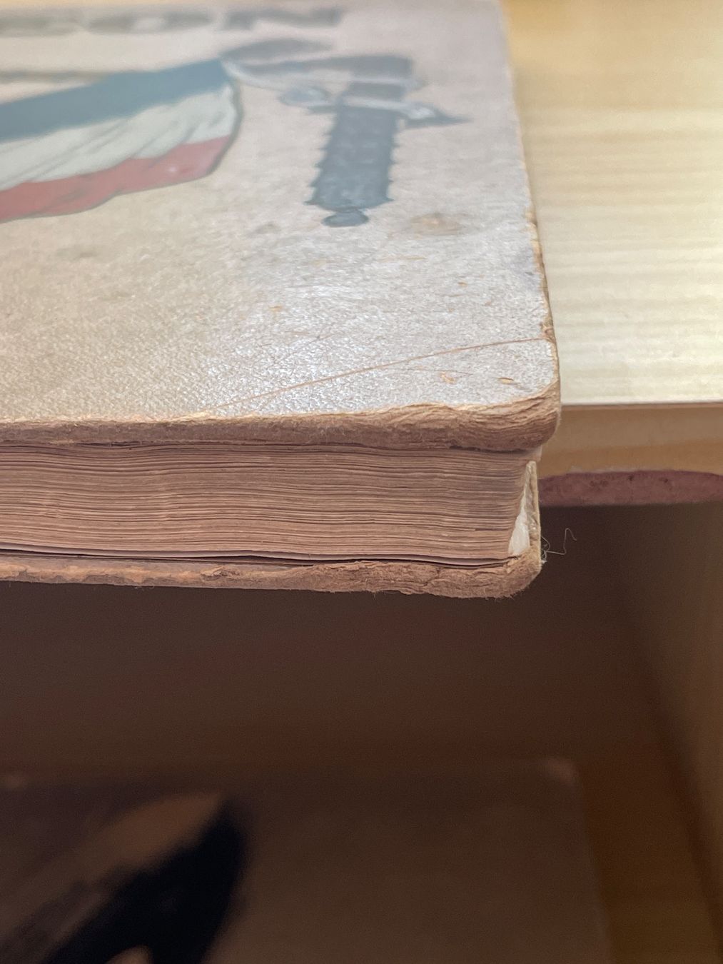 Libri: NAPOLEON Buch – Usato da Arlesheim venduto da ren_5d2b 3