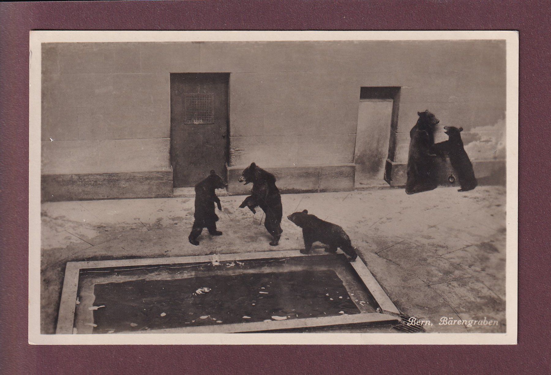 Cartoline postali: BERN - Bärengraben - 1936 – Usato da Pully venduto da nicecards