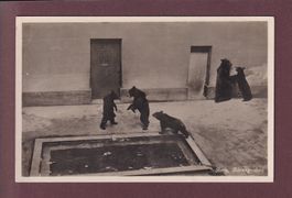 BERN - Bärengraben - 1936