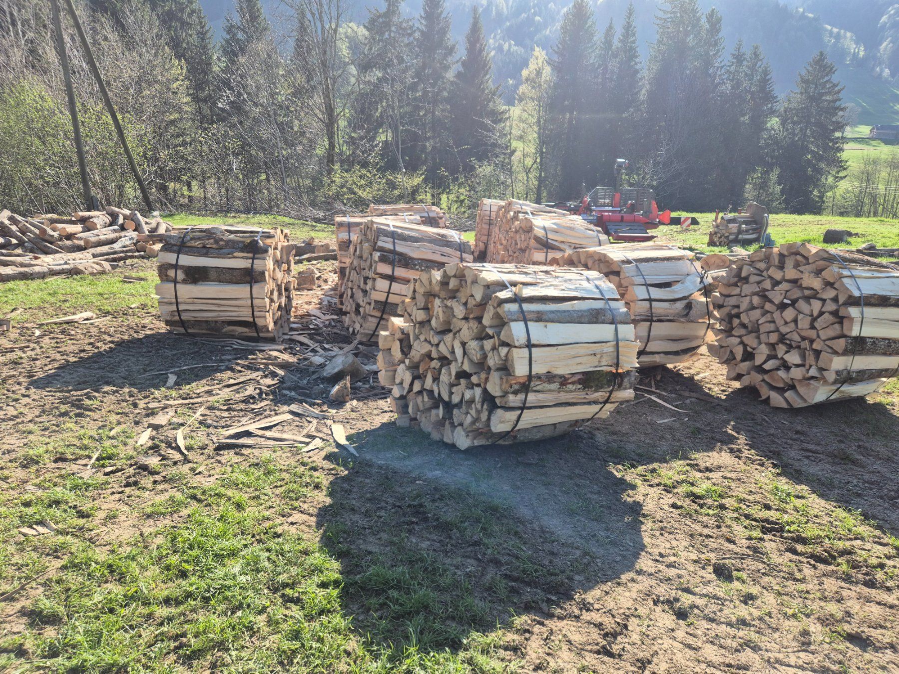 Toutes les machines: KRPAN Holzspaltmaschine – D'occasion à Stein AR par Bienli4 7