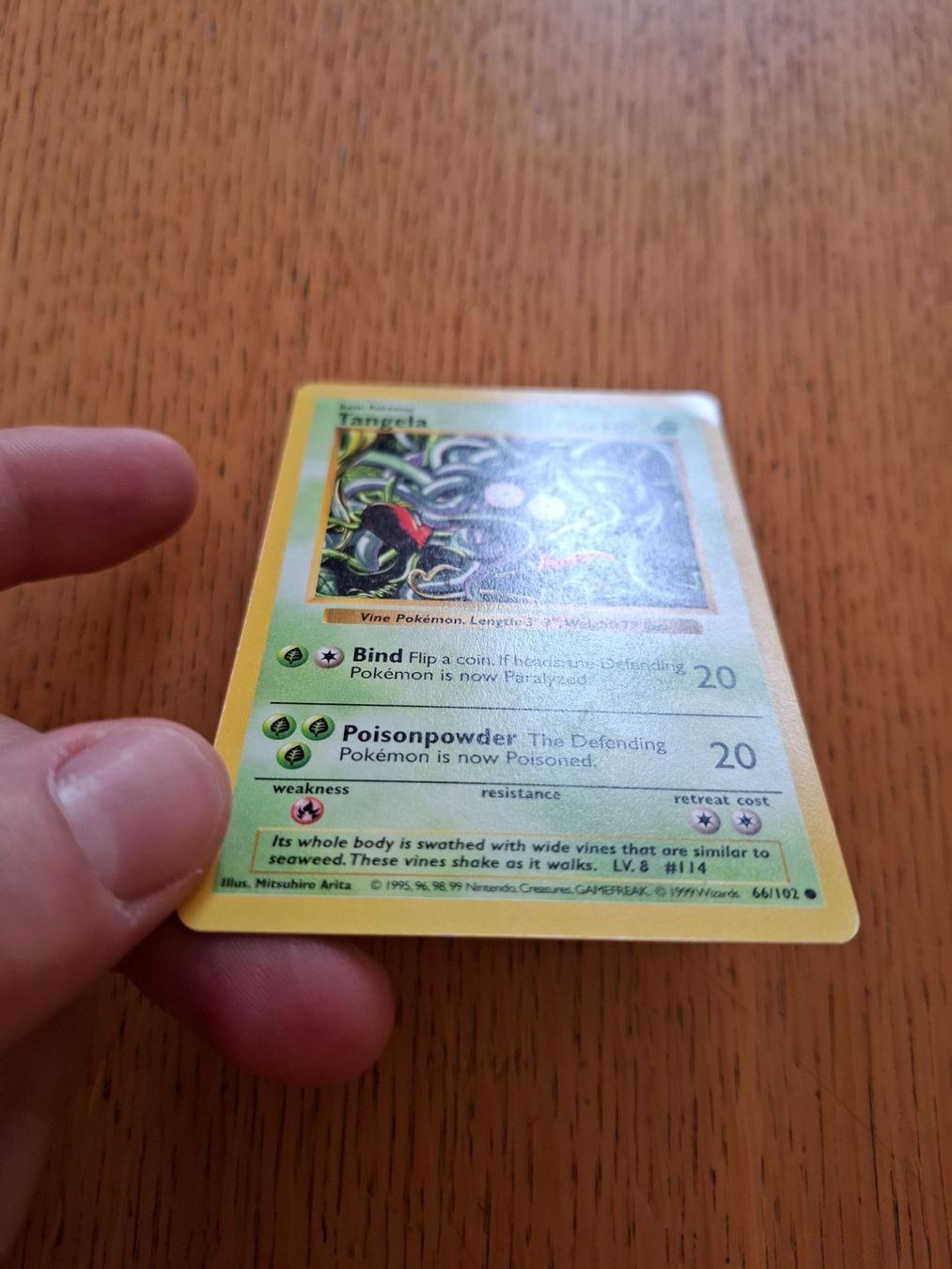 Pokémon Carte collezionabili: Pokemon Tangela Base Set Shadowless 66/102 – Usato da Giornico venduto da ale_lc8k 2