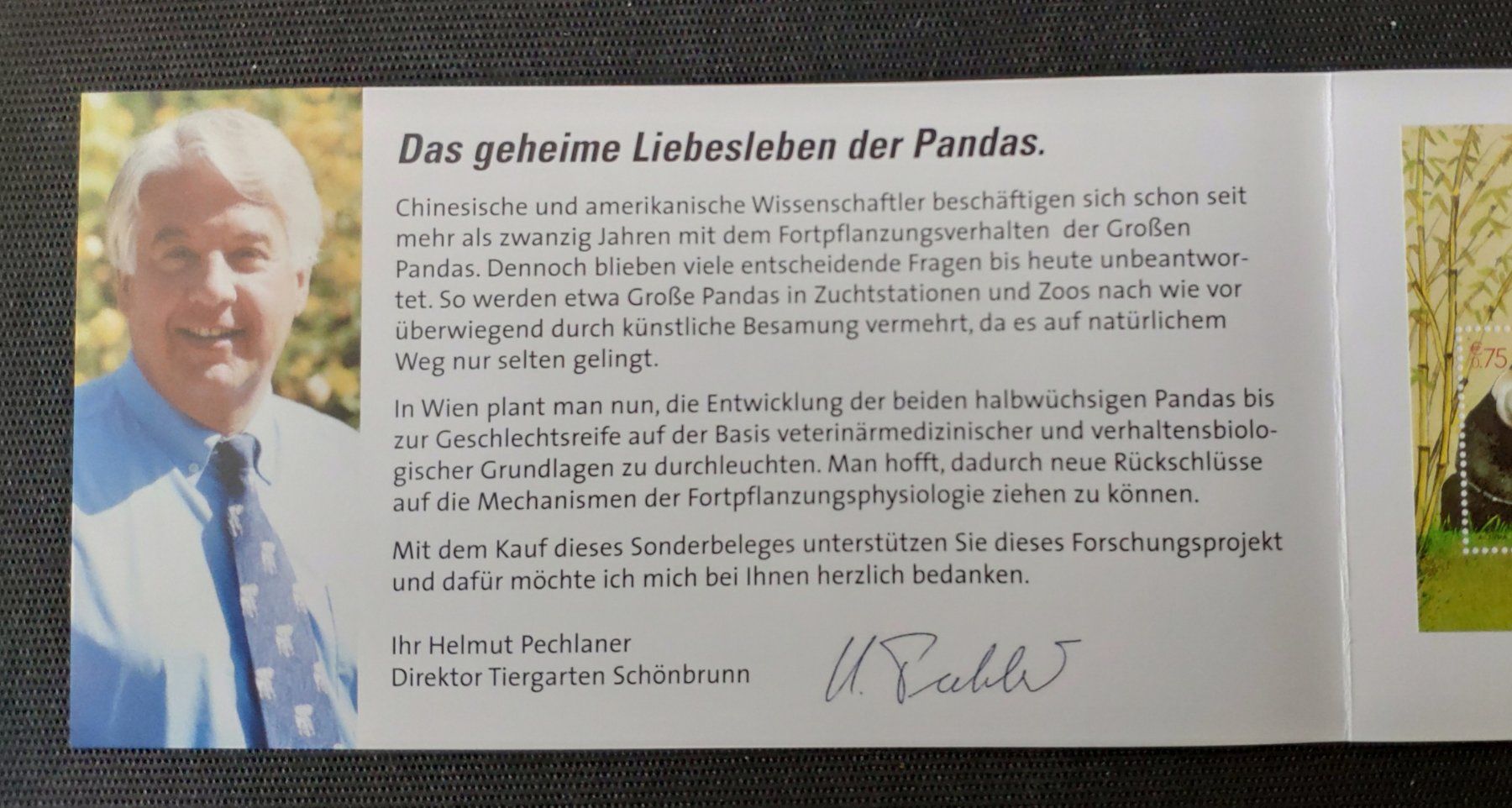 Tutti i francobolli: Grosser Panda 2003 Oe Eckigen + Runder Briefmarke auf Block – Usato da Volketswil venduto da Spacepanda 3