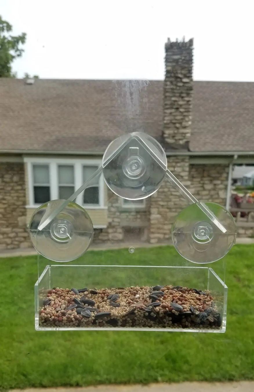 Vogelhäuser: Fenster Wild vogel Feeder – Neu und originalverpackt aus Uerkheim von Kaufoption 7