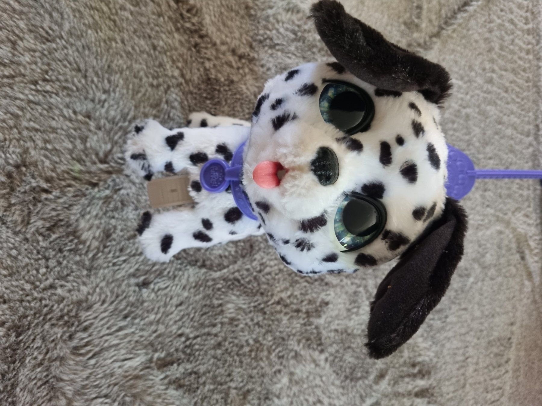 Giocattoli: Furreal hund – Usato da Buchs AG venduto da Kitten33 1