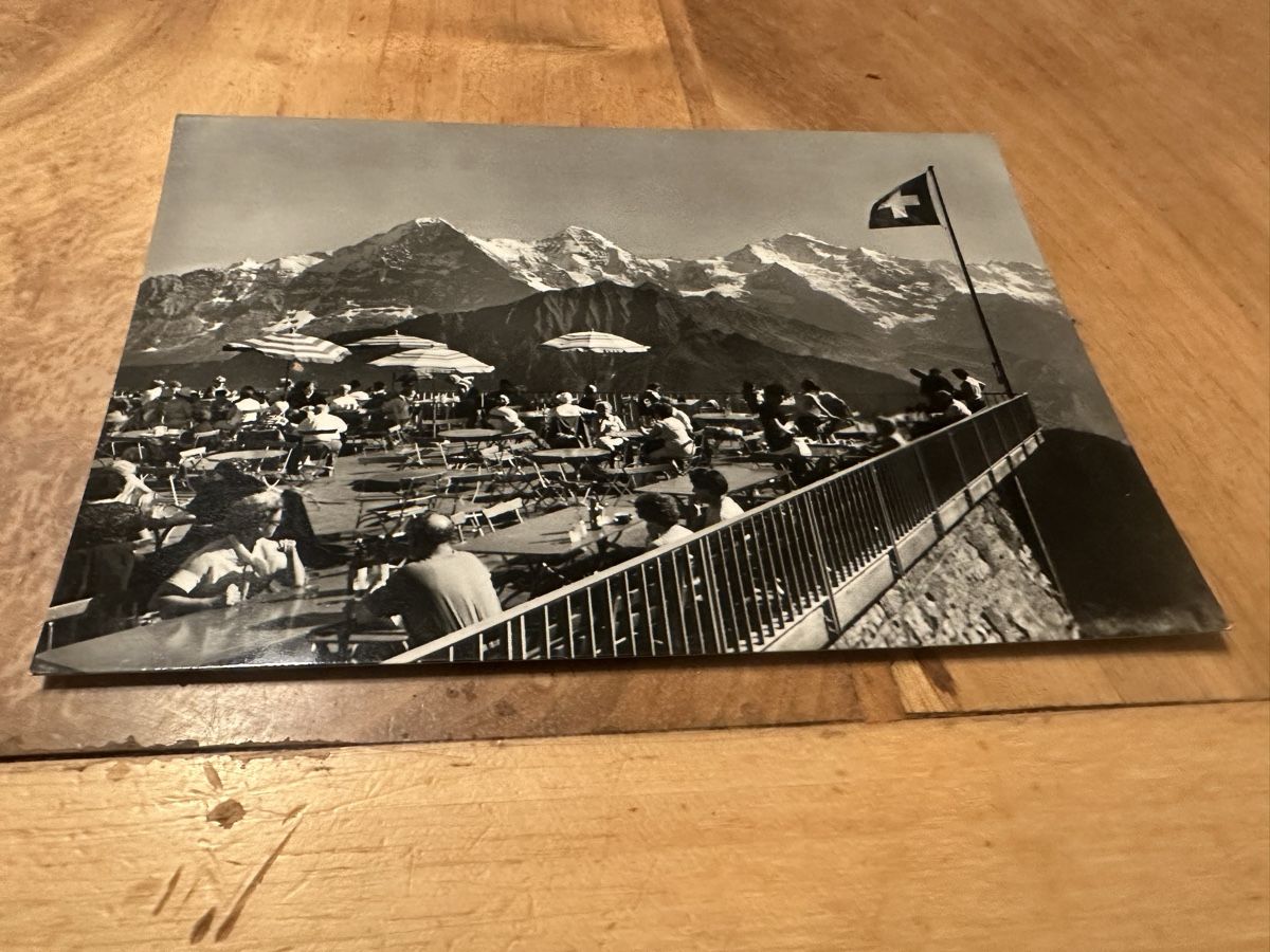 Cartoline postali: Schynige Platte,Rest.Terrasse, Touristen – Usato da Frauenfeld venduto da aluma14 4