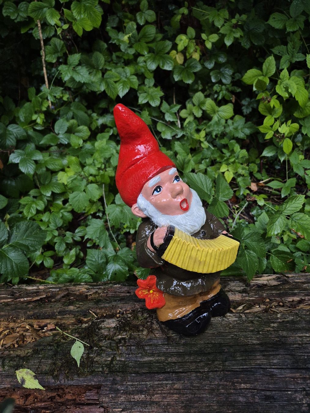 Statuette: Gartenzwerg musizierend – Usato da Baar venduto da Zwergen-Atelier4 1