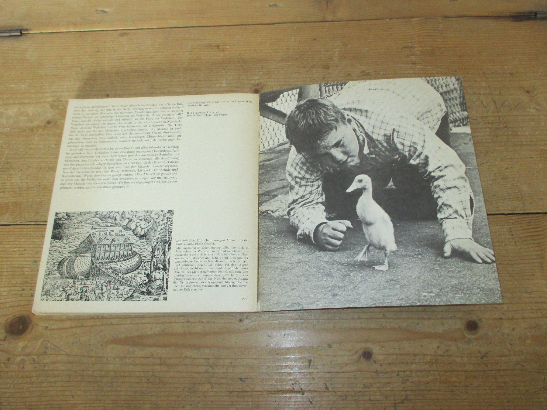 Libri: Der Mensch mit den Tieren, 1965 – Usato da Flims - Dorf venduto da Stagediver 9