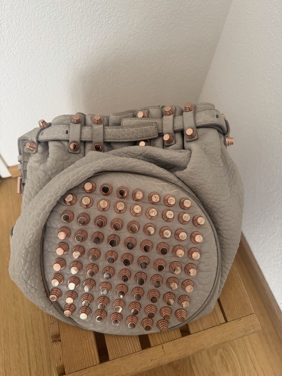 Alexander Wang Borse: Alexander Wang bag – Usato da Granges-Paccot venduto da Hyrenne 1
