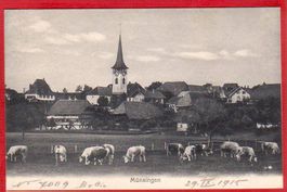 MÜNSINGEN, LICHTDRUCK