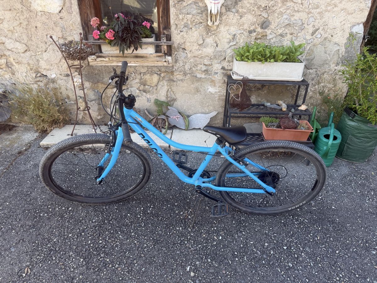 Naloo Biciclette: Naloo Chameleon 26 Zoll – Usato da stallikon venduto da Guetze1990 2
